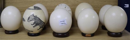 Nine ostrich eggs, on stands
